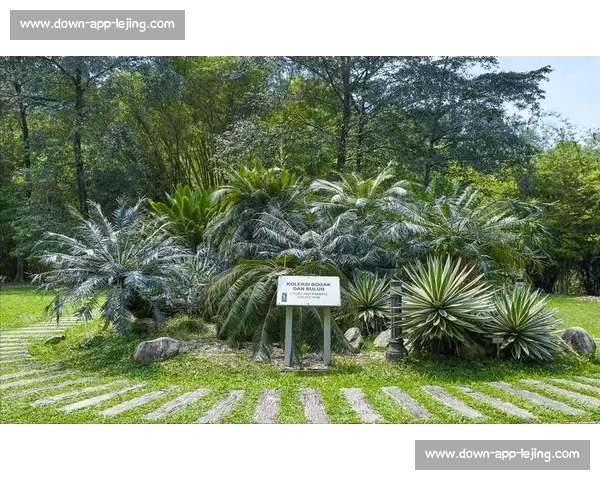 金杯赛非洲独苗：南非 2005 年的跨洋之旅